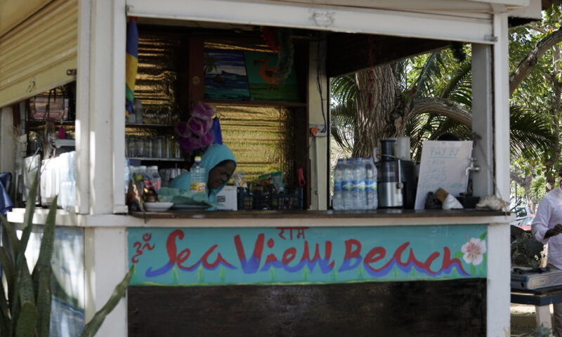 A Buyer’s Guide to Purchasing in Mauritius